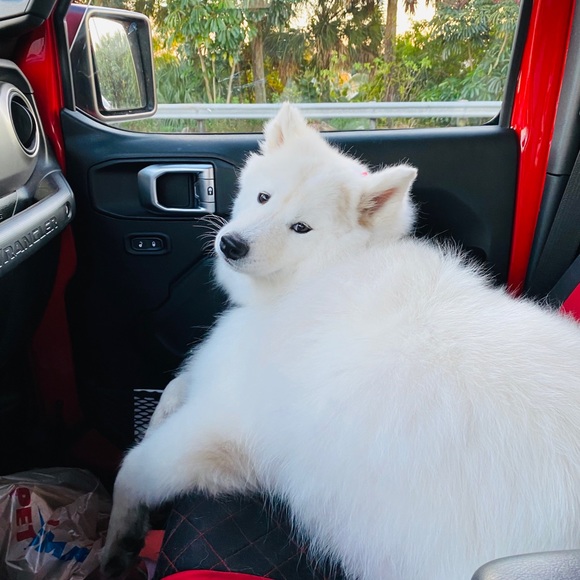 Meet your Posher, Megan - Picture 2 of 4